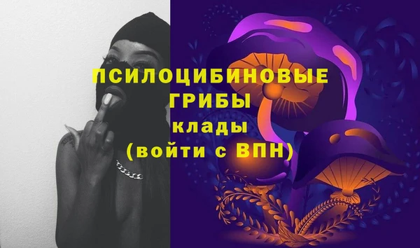 гидра Магадан