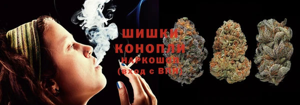 индика Магас