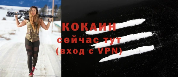 индика Магас