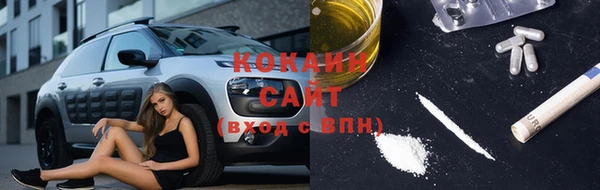 индика Магас