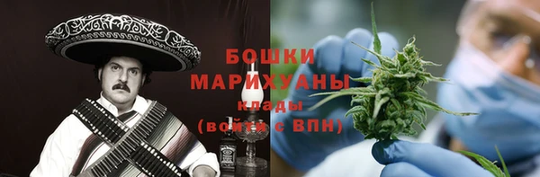 индика Магас