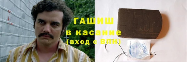 индика Магас