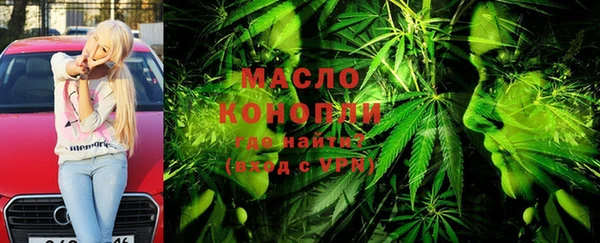 индика Магас