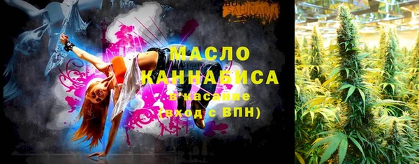 индика Магас