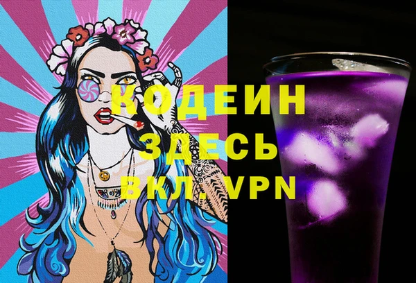 индика Магас