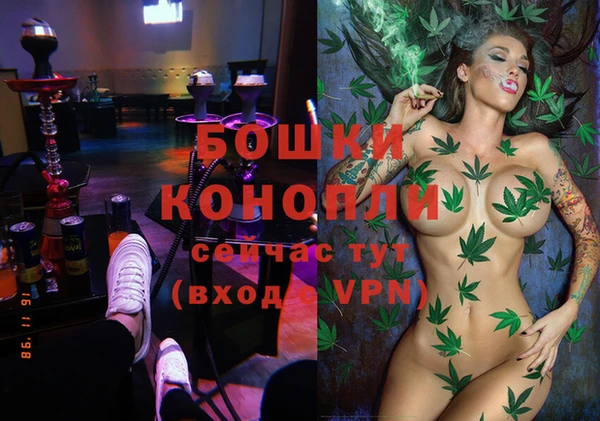 спиды Майский
