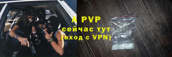 индика Магас