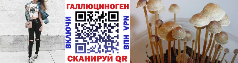 Купить закладки  Тырныауз  Псилоцибиновые грибы мицелий 